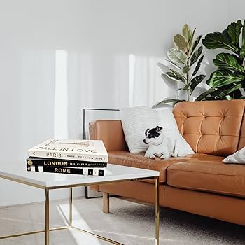 Amazon.com: Hfpengzan 3Pcs Decorative Books for Modern Home Decor